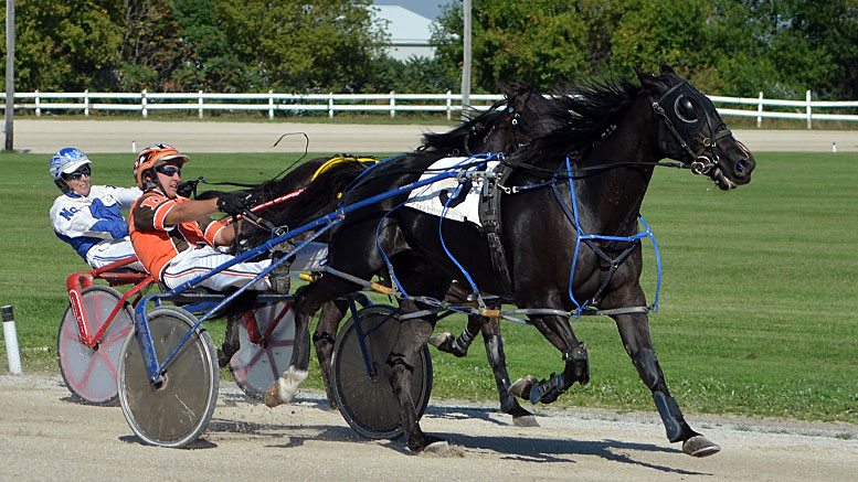 Nick Barnsdale's Leamington Raceway Selections: Sunday, September 20, 2020