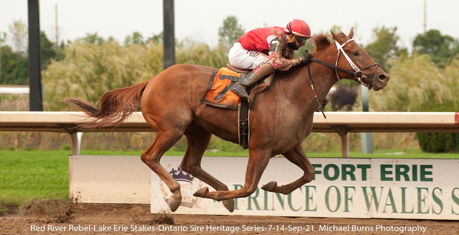 Ontario’s Thoroughbred breeding industry on the upswing in 2021