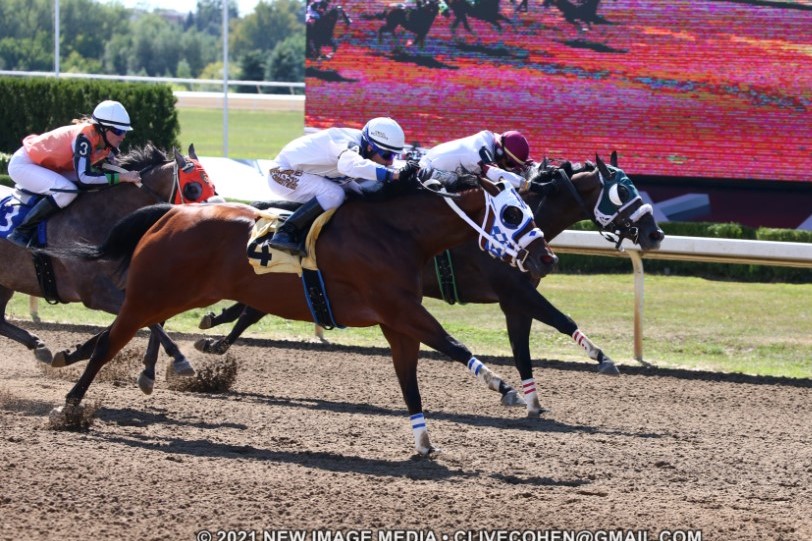 Streakinlilwagon Looks to Continue Streak in $61,020 Picov Derby