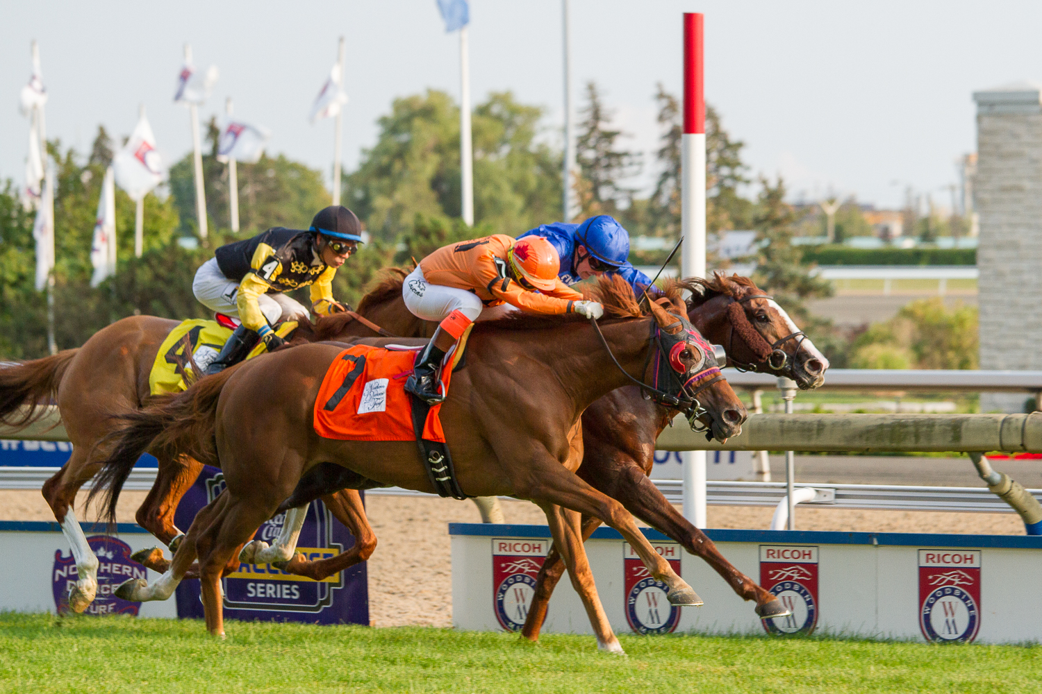 John Burness: “I don’t think in my lifetime I ever dreamed about having a horse that would win a Grade 1"