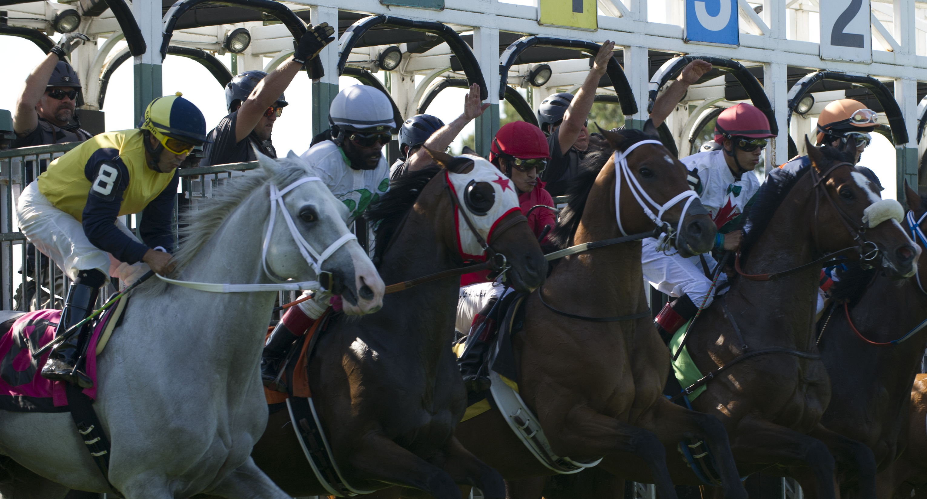 Fort Erie racing gets out of the gate with record crowd