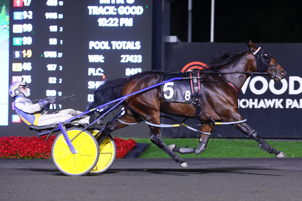 Collusion Hanover trounces field in three-year-old filly pace Grassroots Final