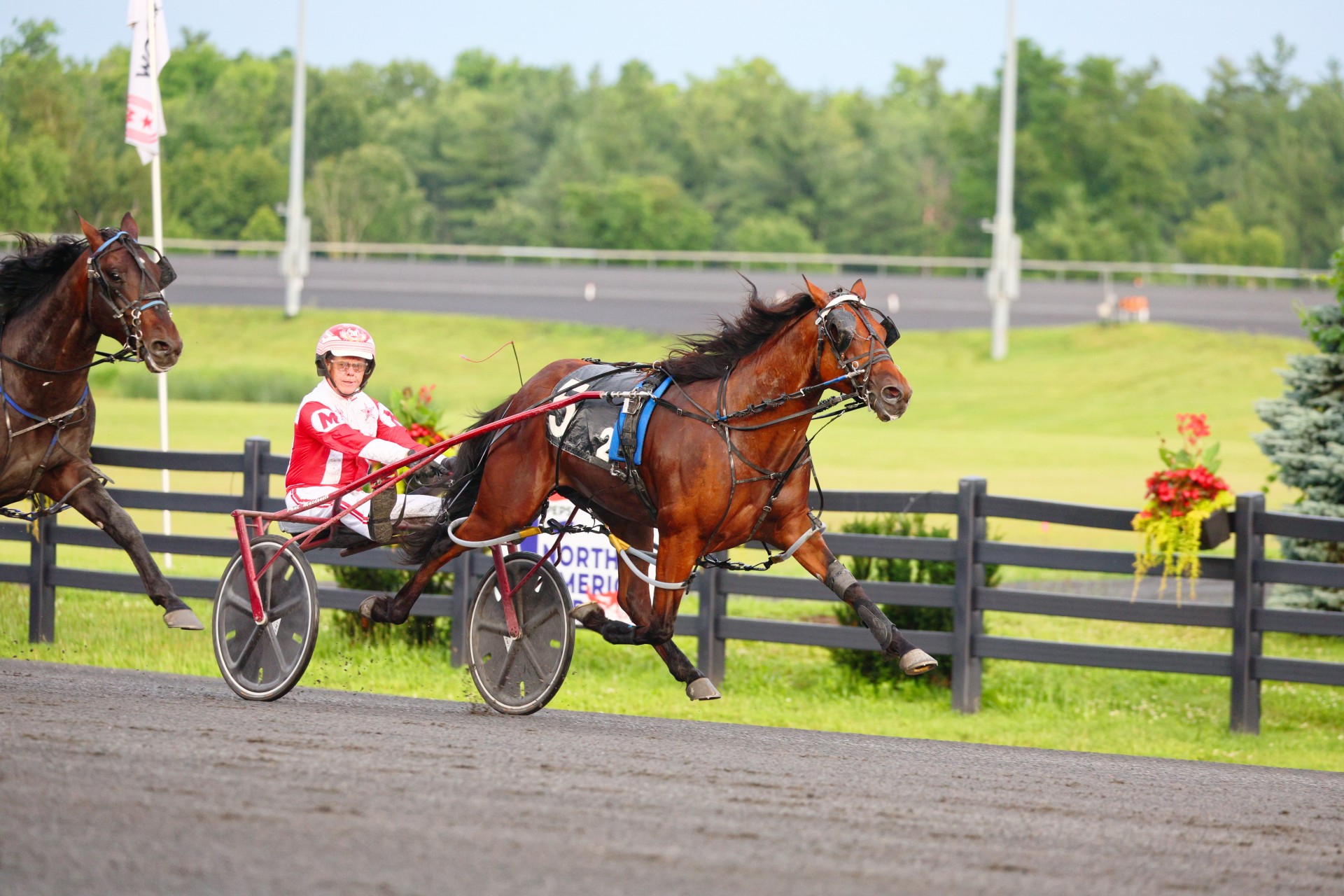 Century Lucifer, Stonebridge Wizard kick off two-year-old OSS Gold season with impressive wins