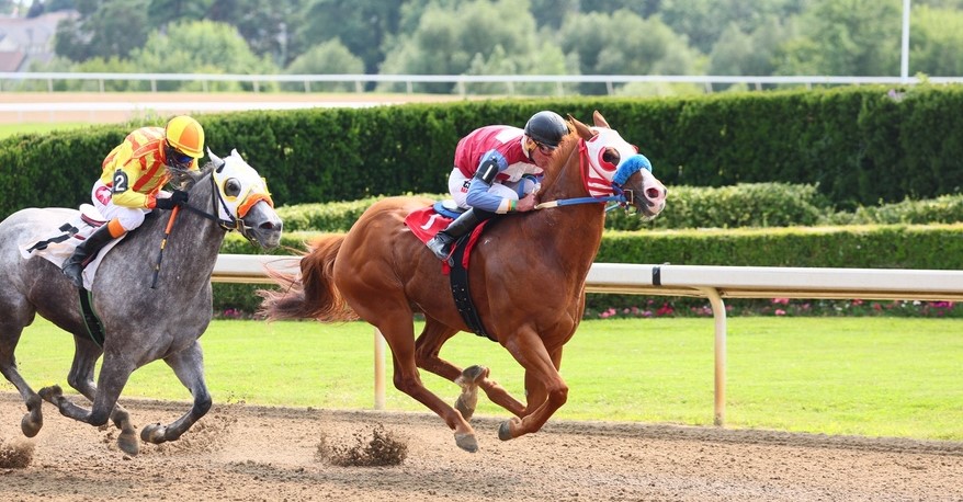 It's Fan Appreciation Day at Ajax Downs on September 3