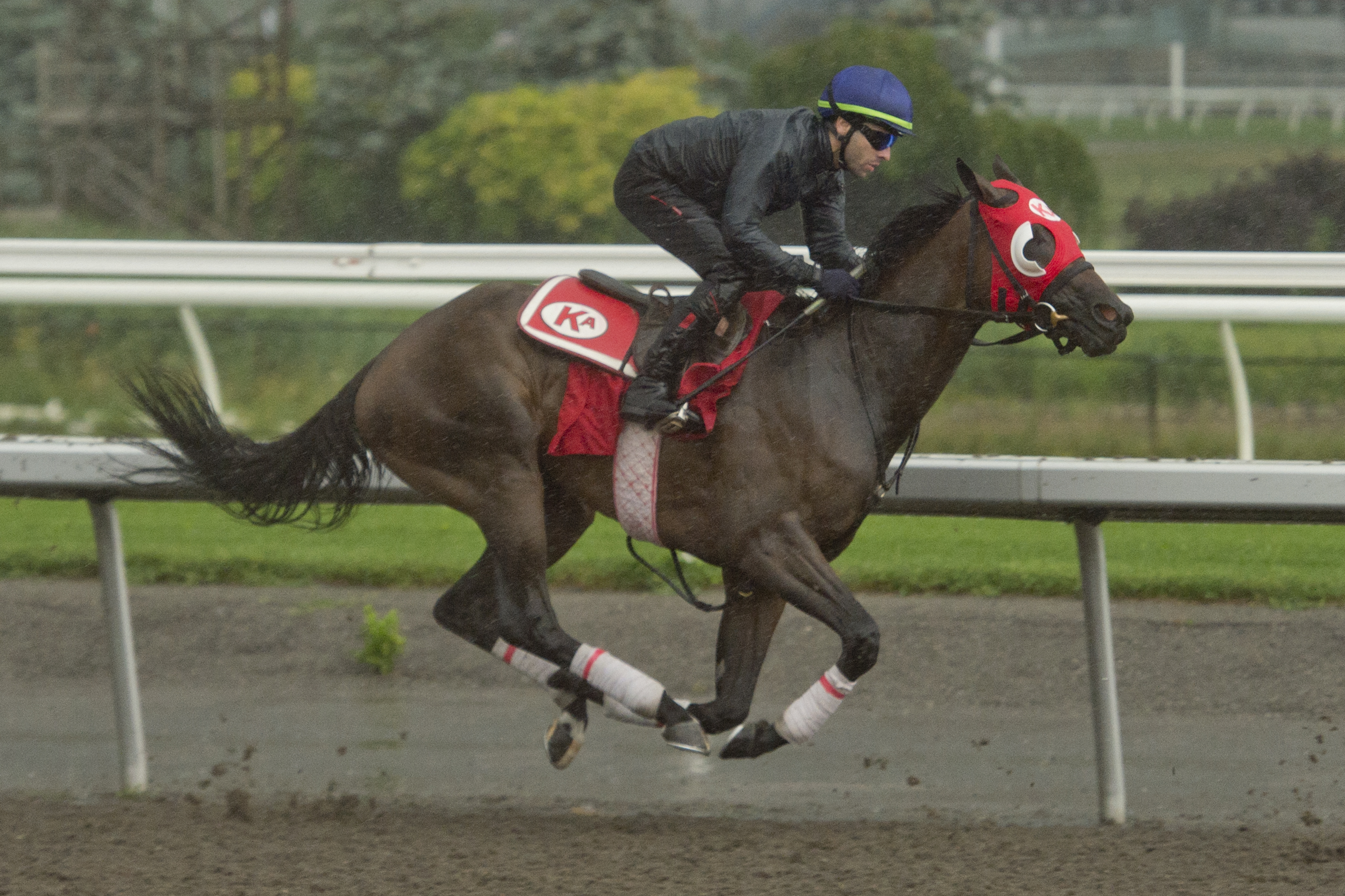 14 fillies chase Woodbine Oaks glory on stakes-filled Saturday