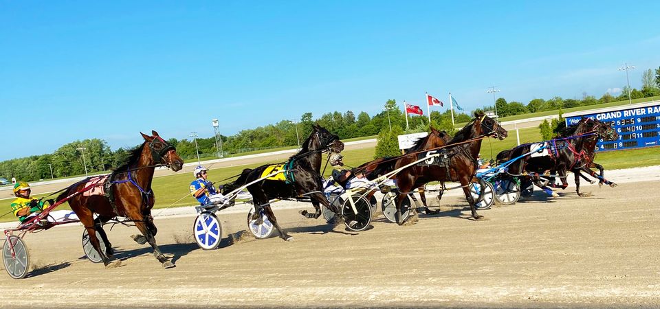 Live racing returns to Ontario racetracks starting Friday
