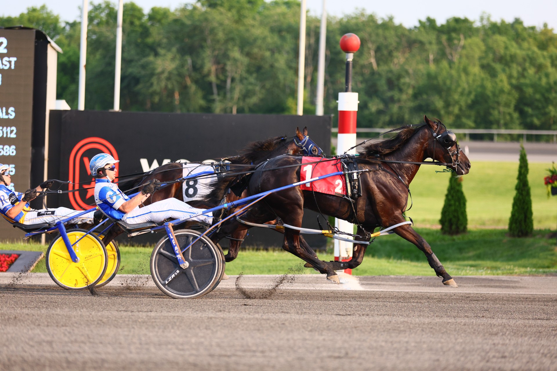 Grassroots points leaders ready for duel in sophomore pacing colt Final