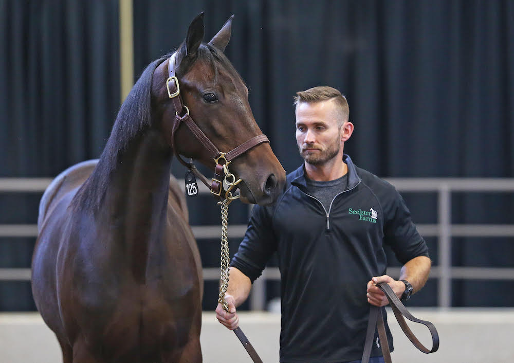 Big hopes for this weekend’s inaugural Ontario super sale