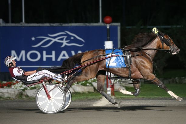 Fresh from their American invasion, fillies take Gold at Mohawk