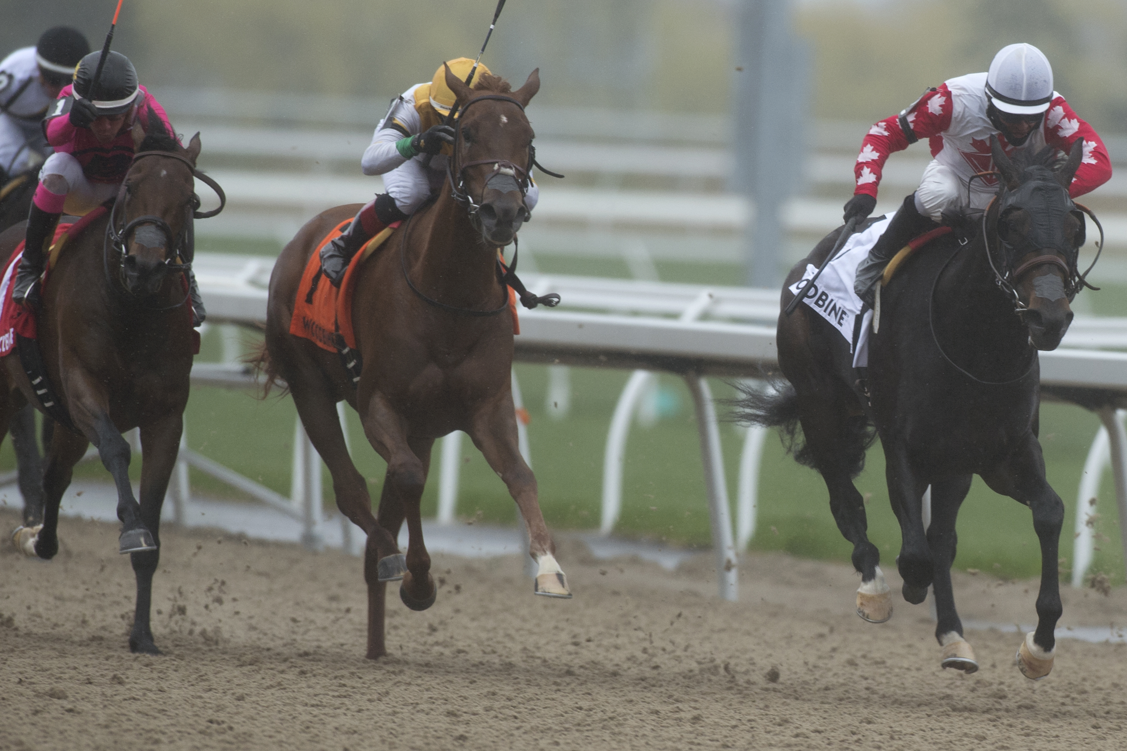 Casse trifecta in Fury Stakes