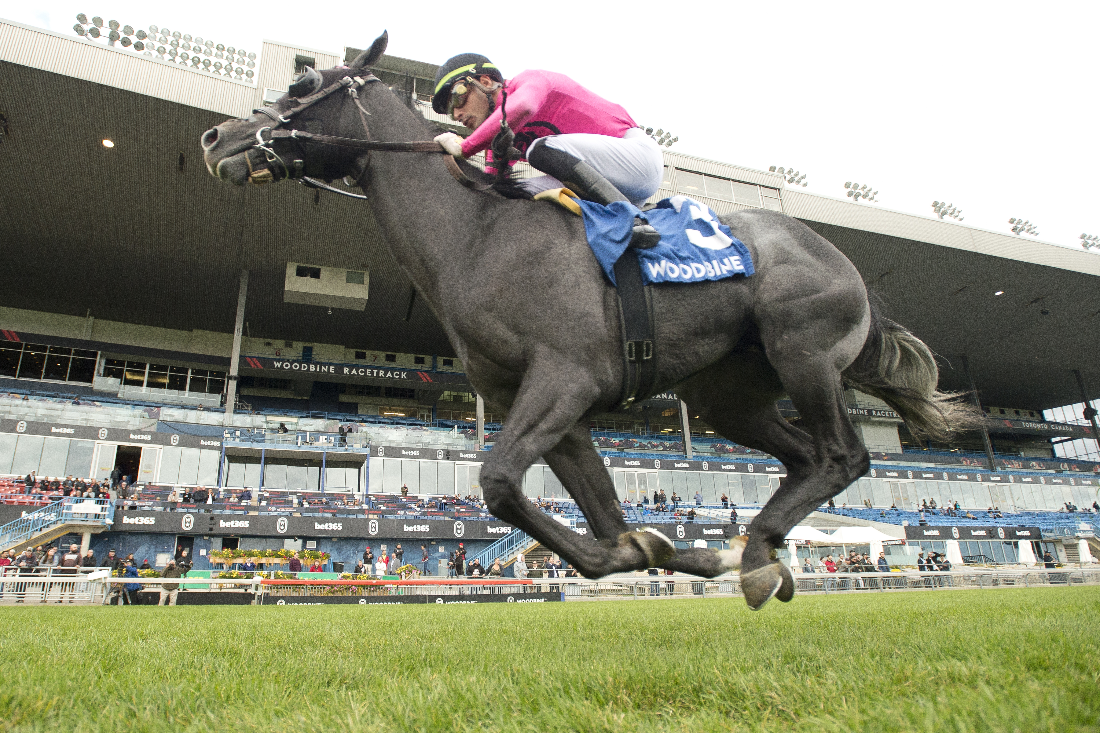 My Boy Prince chases King Corrie coronation