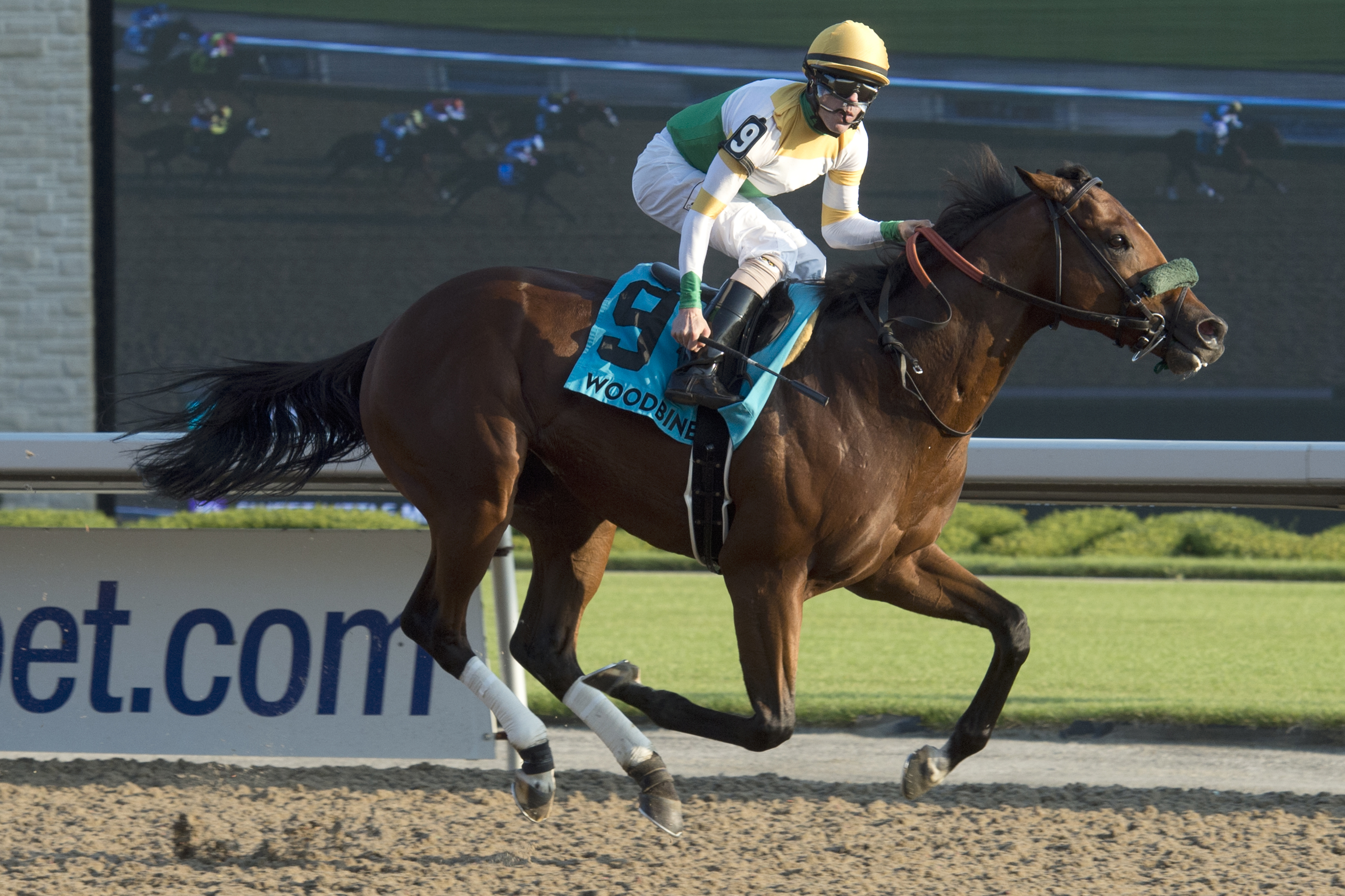 ‘Road’ warrior: Yorkton seeks fifth career stakes score in Grade 2 Kennedy Road
