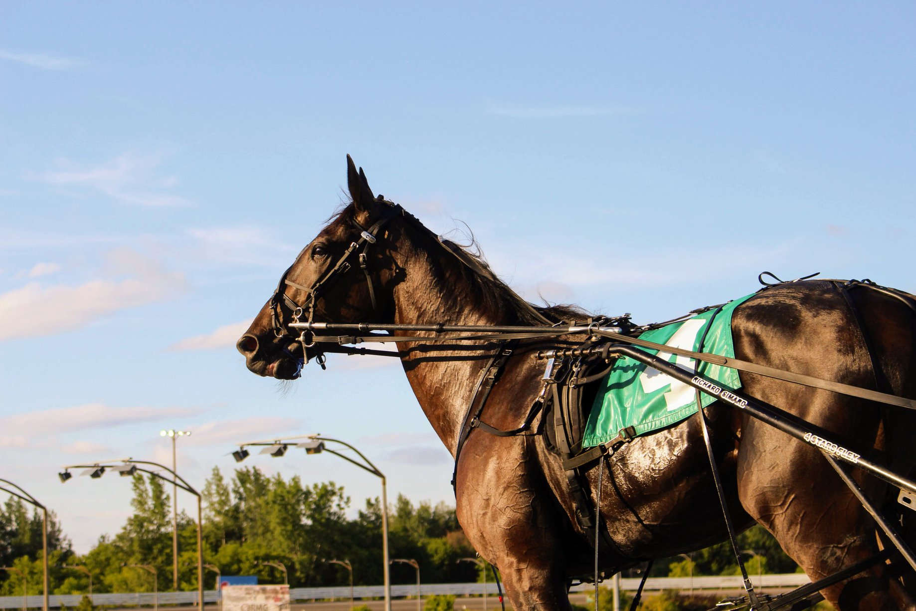 Multitude of improvements at Rideau Carleton perfect time to bring back Des Smith Classic