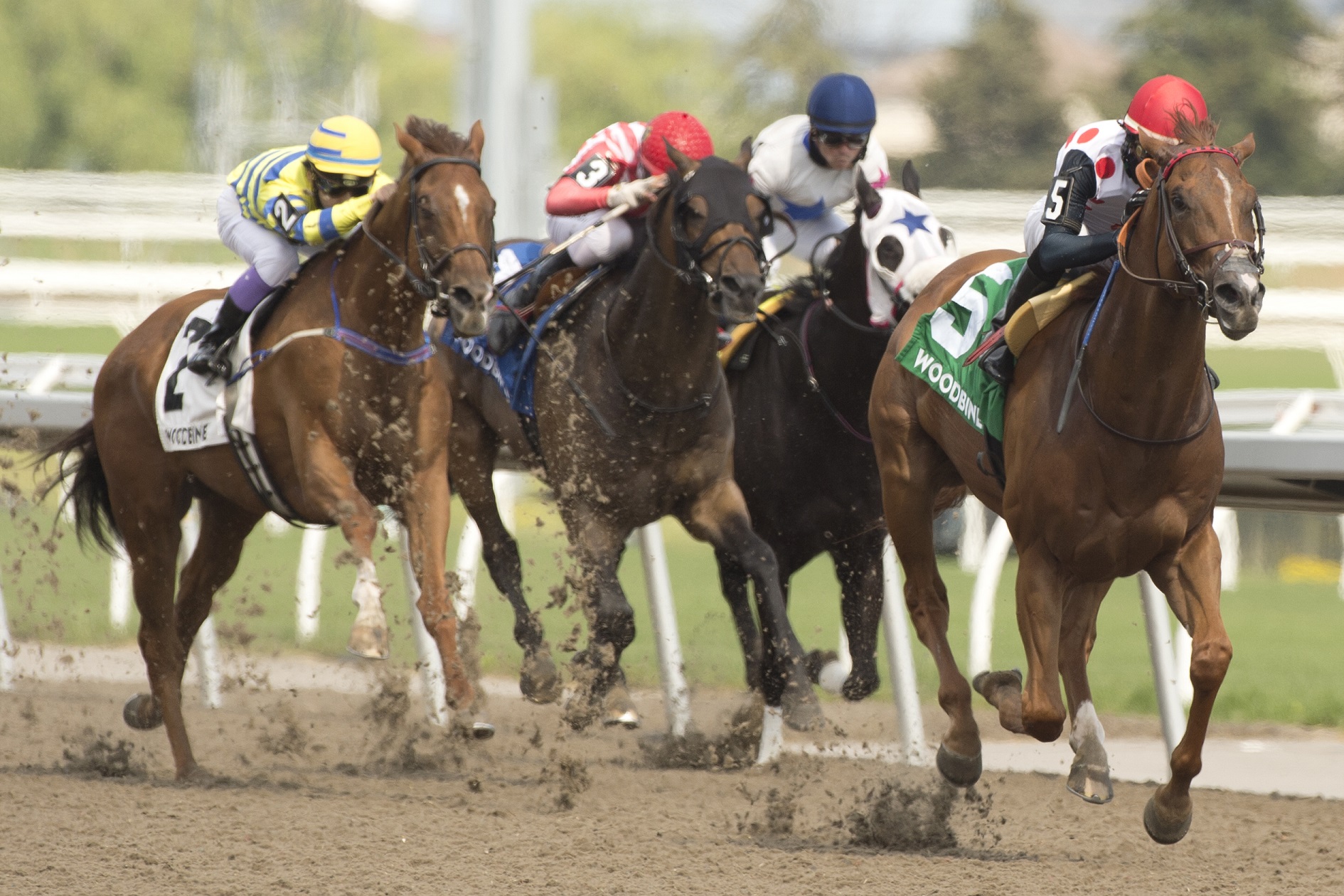 Turf Champions Day featuring Woodbine Mile