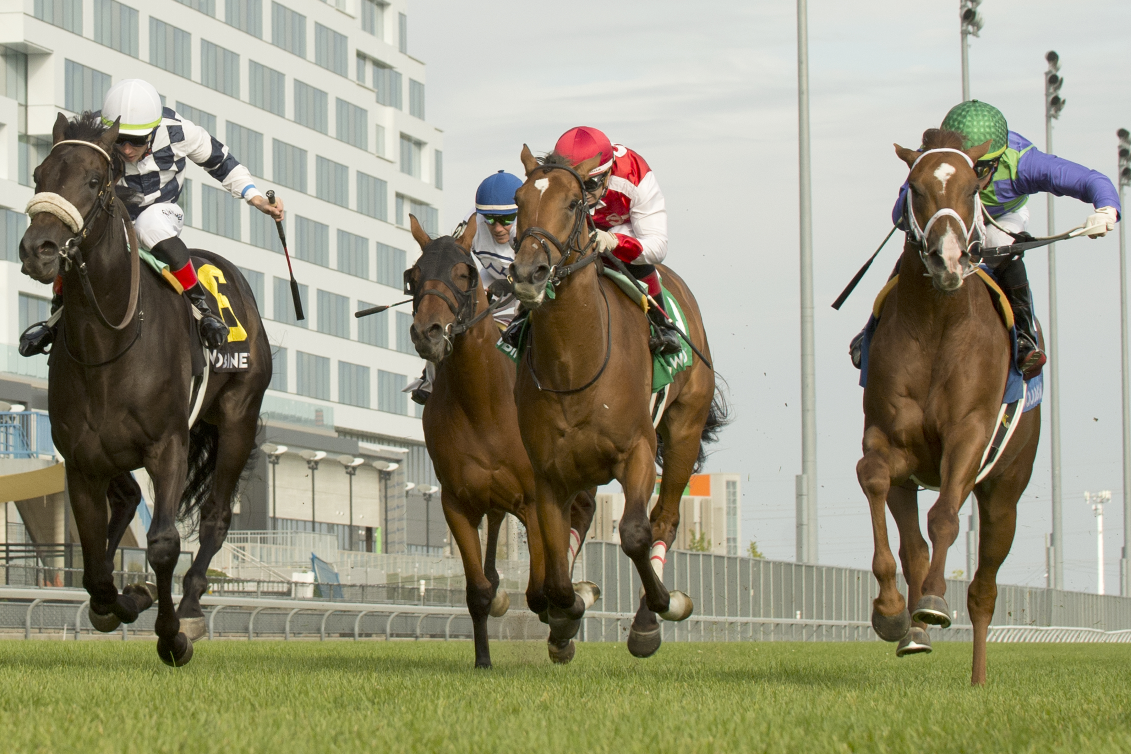 Zippy Gizmo and jockey Kazushi Kimura winning the Bull Page Stakes on September 24, 2023 at Woodbine (Michael Burns Photo).