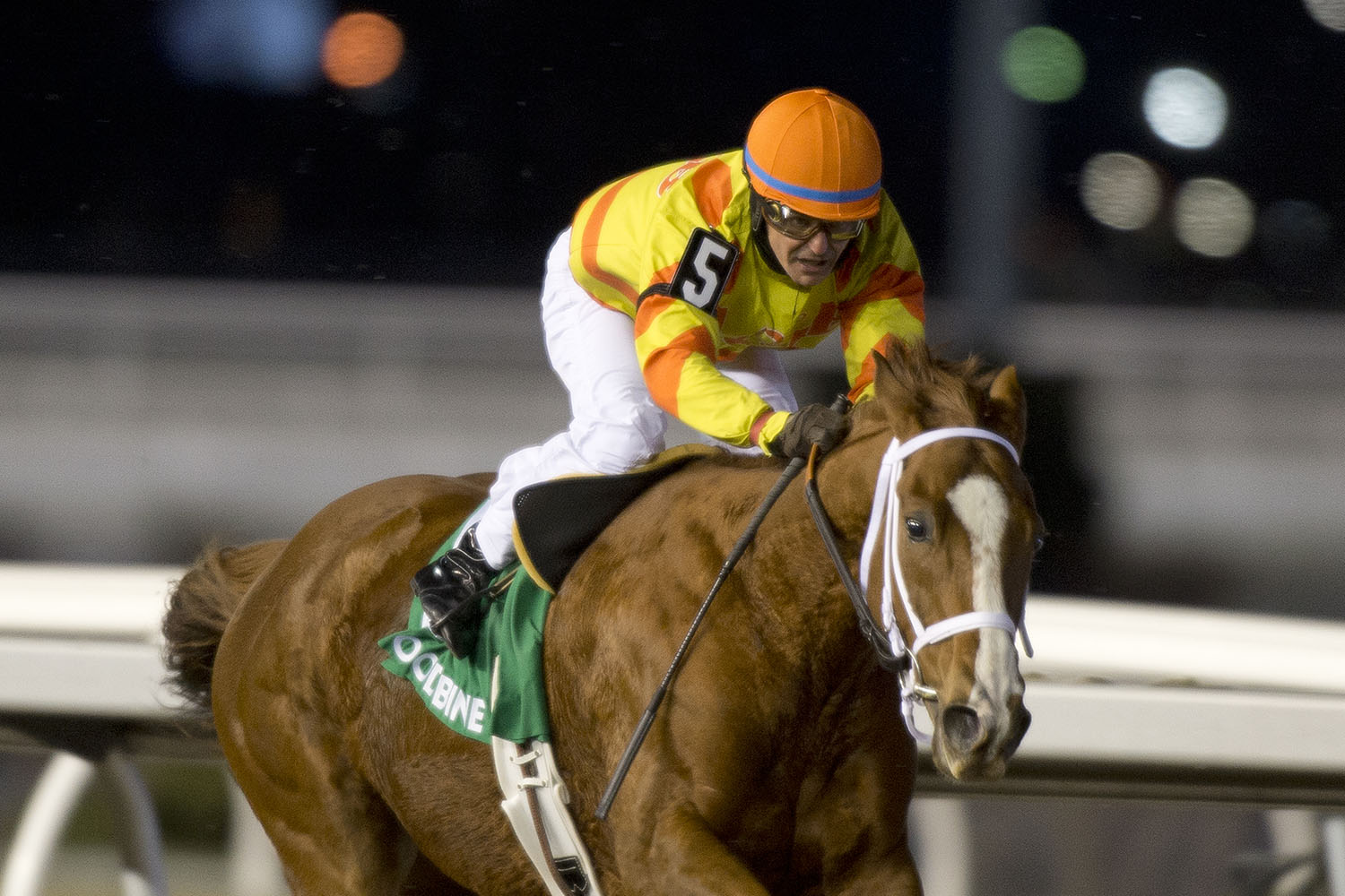 Da Silva closes his career during Woodbine’s season finale