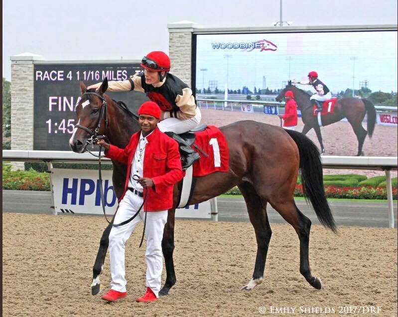 Roxy’s Vision: As easy as 1, 2, 3