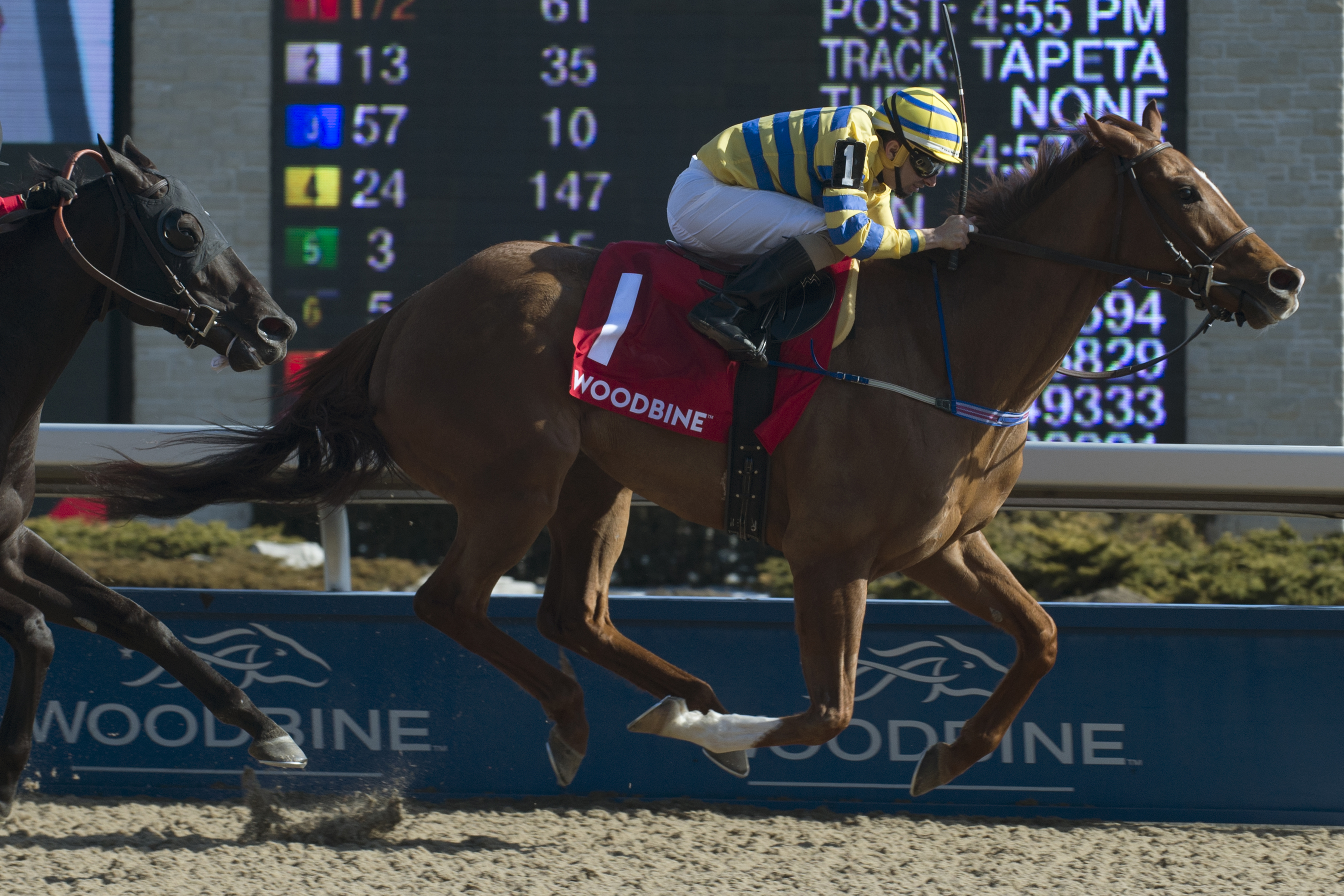 Pink Lloyd sets track record in Jacques Cartier Stakes / Inge promoted in eventful Wando