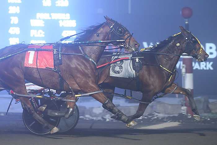 Shadow World upsets in Niagara opener