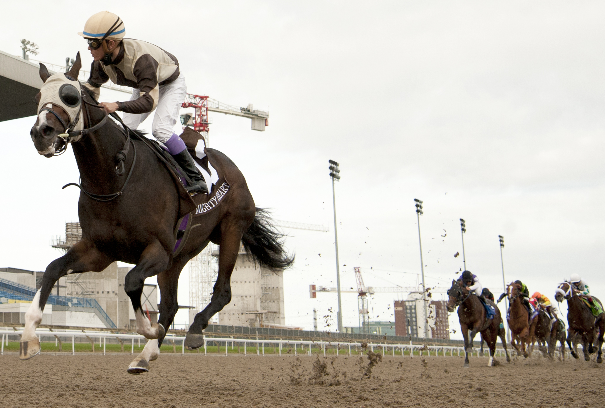 Woodbine Entertainment and TSN Deliver More Weekly Horse Racing Coverage with RACING NIGHT LIVE, Airing Friday Nights Beginning October 16