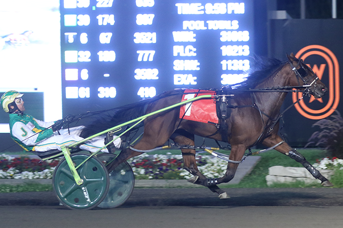 Gold Circle Horse Racing And Gambling Gold Circle Horse Racing And Gambling