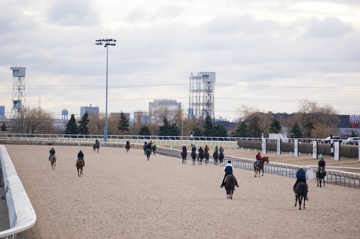 Training begins on Woodbine’s new Tapeta surface