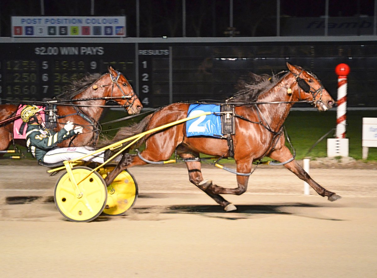 Garnet Barnsdale’s Flamboro Downs Selections: Sunday, October 18, 2020