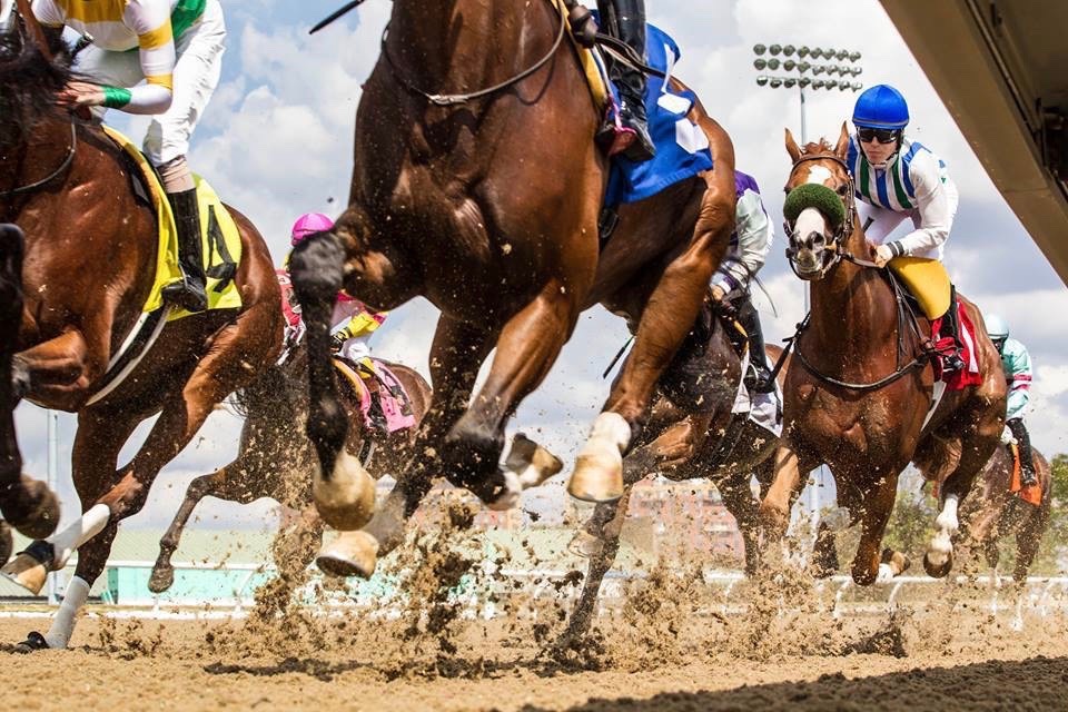 FIRST LOOK - Sizing Up How a Race Will be Run - Ontario Racing