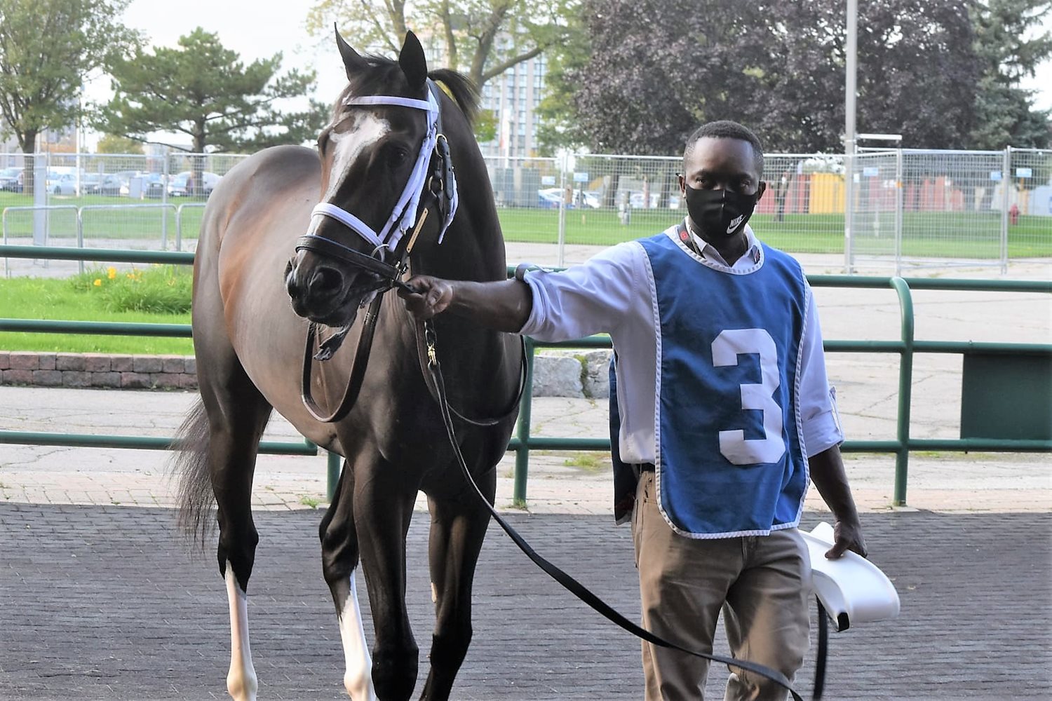 woodbine thoroughbred results today