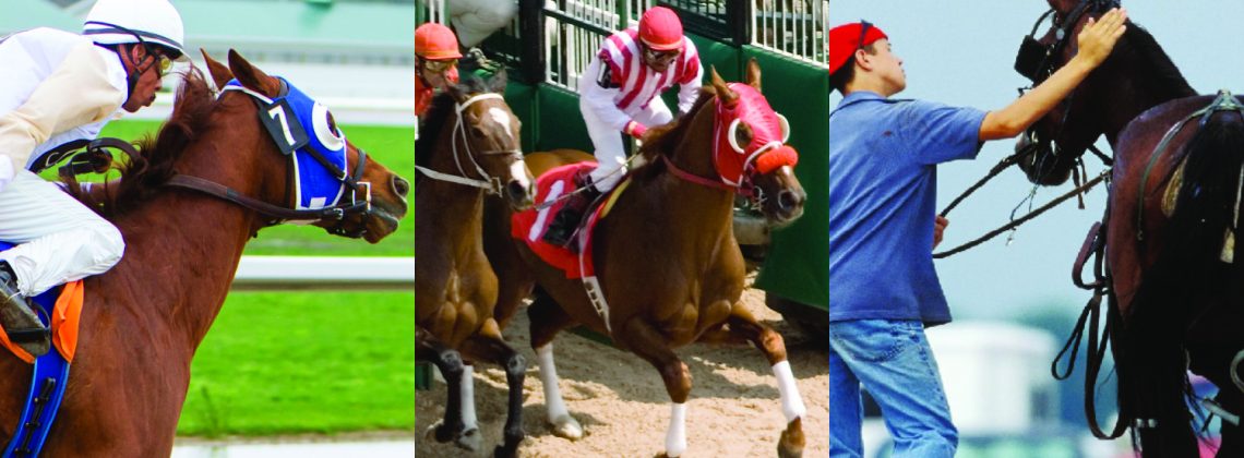 Free Courses for Ontario Racing Industry – Instructors Announced!