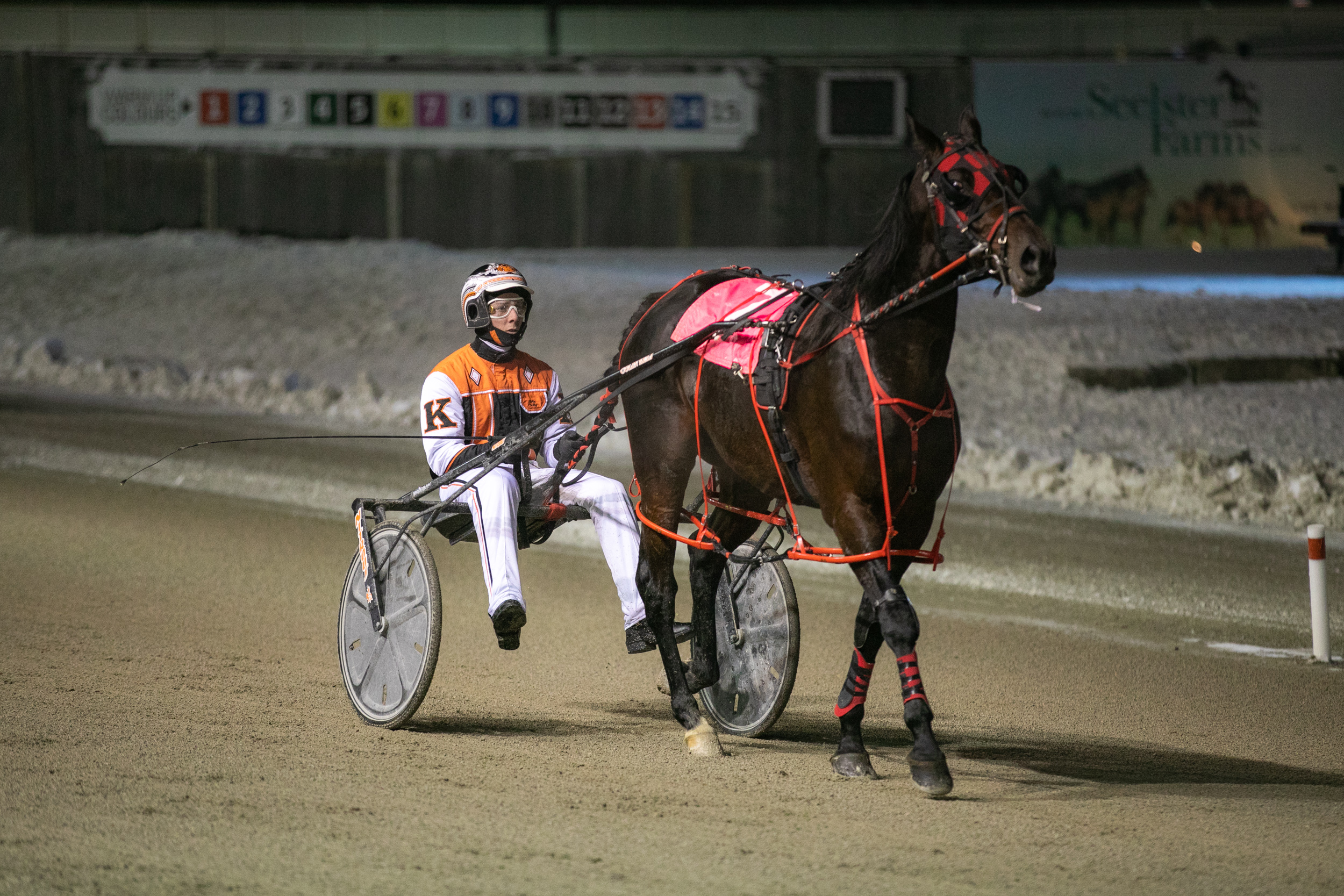 FEATURE: Driving Force