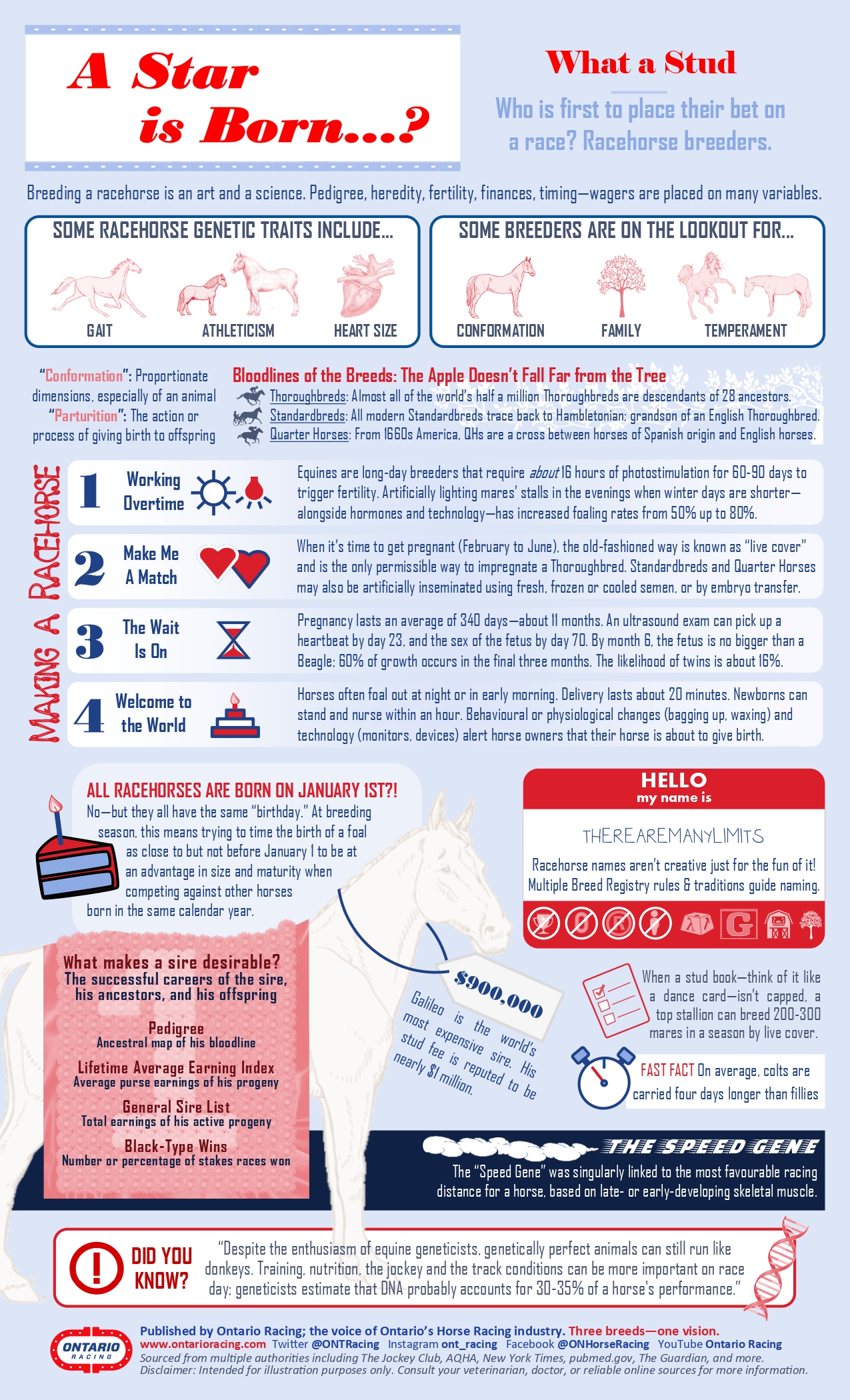 Infographic: A Star Is Born!
