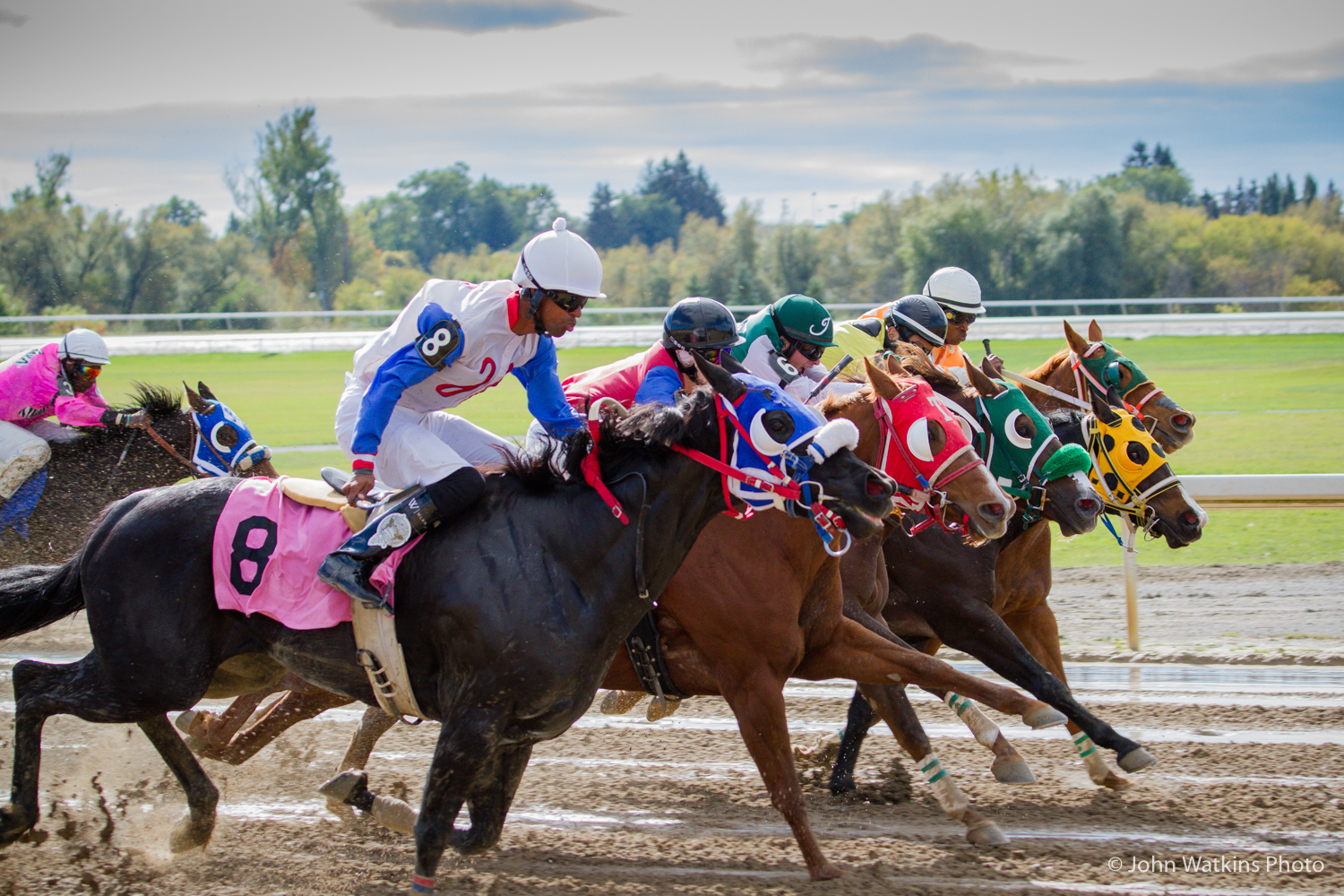 Ajax Downs Quarter Horse Racing Switches To Mondays
