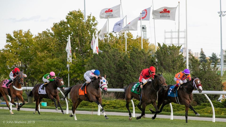 Jennifer Morrison’s Woodbine Thoroughbred Selections: August 2, 2020