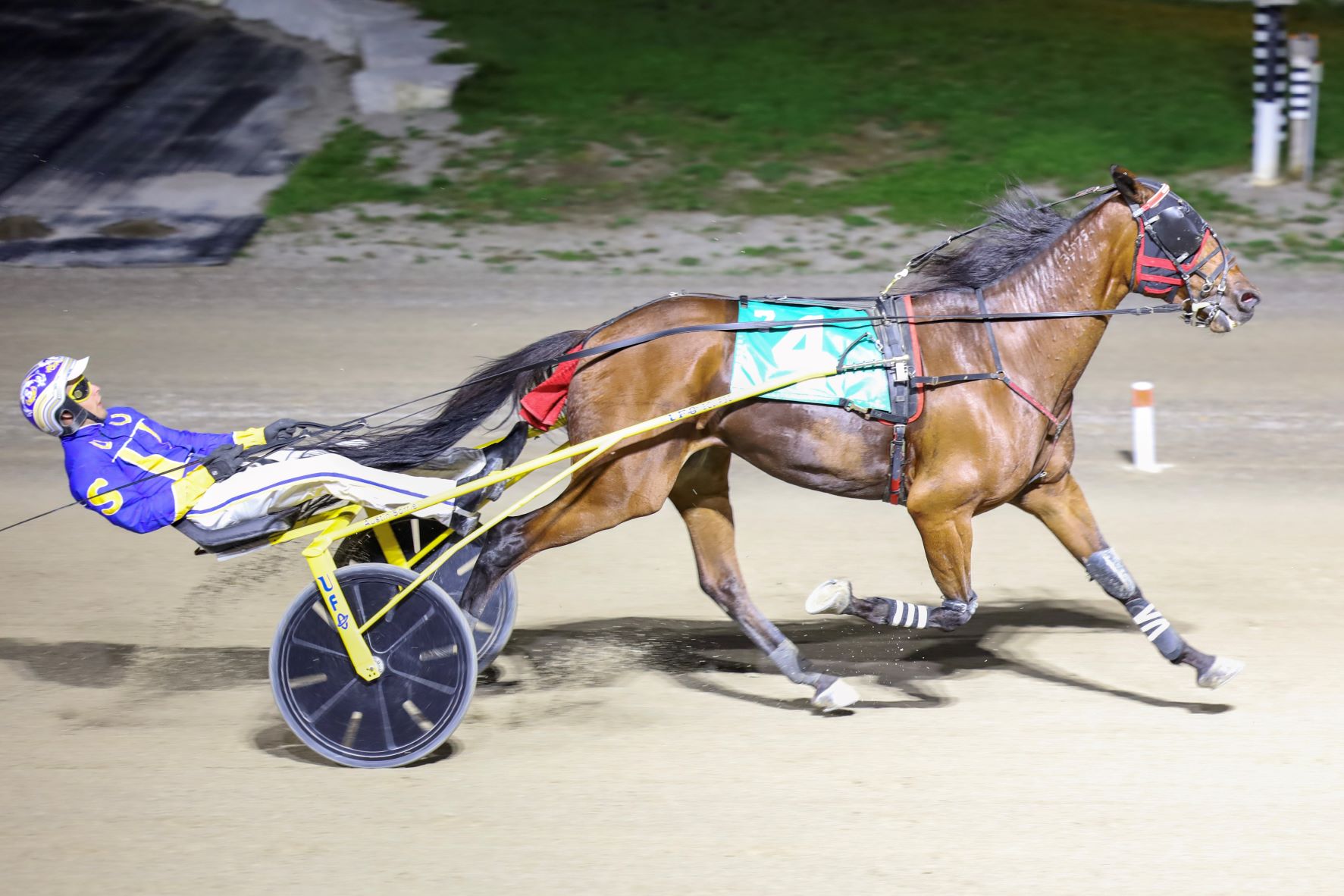 Michael Carter’s Flamboro Downs Selections: Wednesday, November 24, 2021
