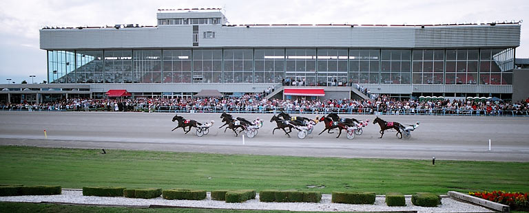 Nine horses go straight to Confederation Cup final