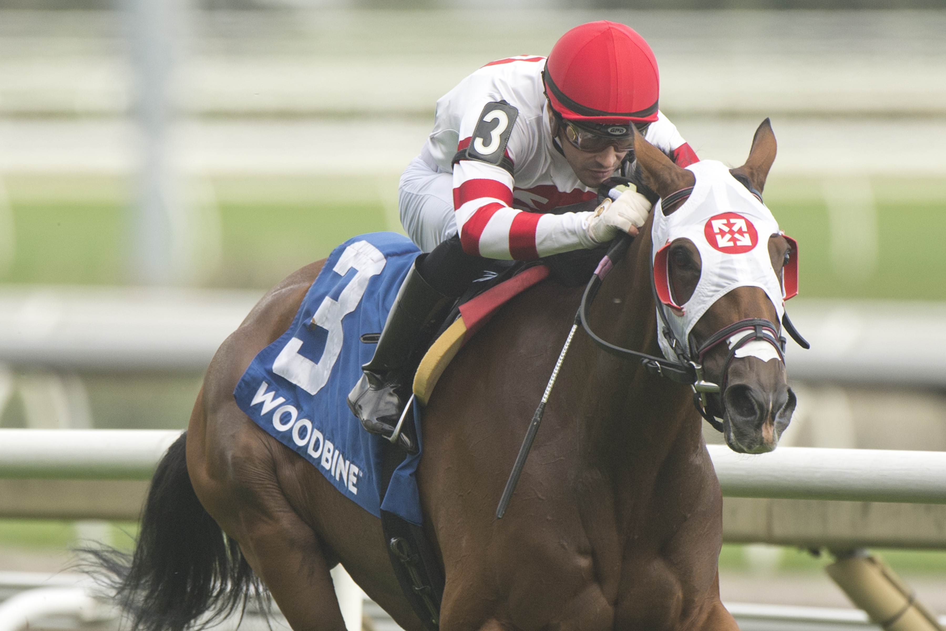 Tito's Calling and jockey Sahin Civaci winning the Wonder Where Stakes on September 10, 2023 at Woodbine (Michael Burns Photo).