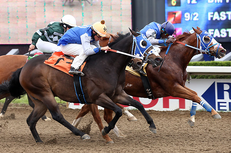 Big boys clash on Father's Day at Ajax Downs