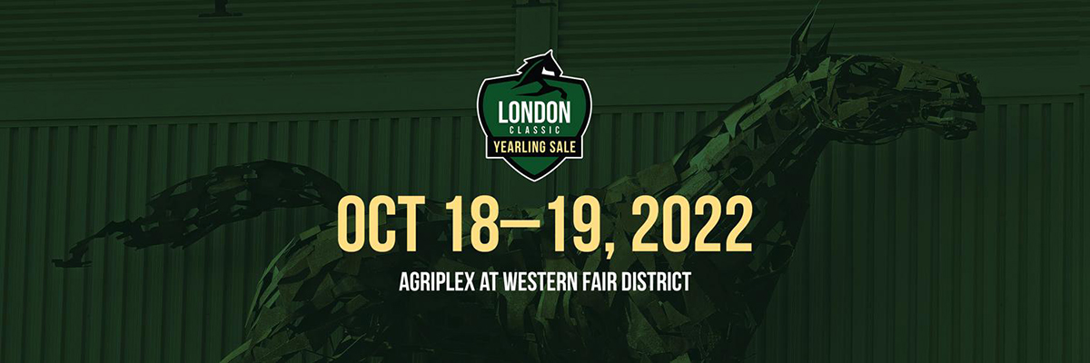 London Classic Yearling Sale Roster Now Online - Ontario Racing