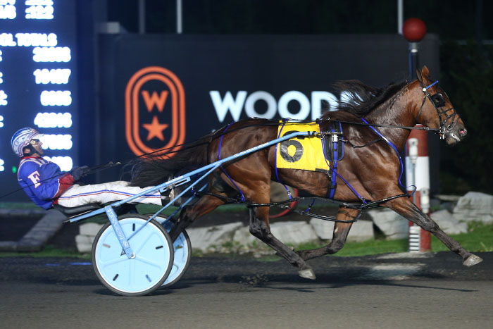 Century Farroh’s sophomore success a boon to breeders