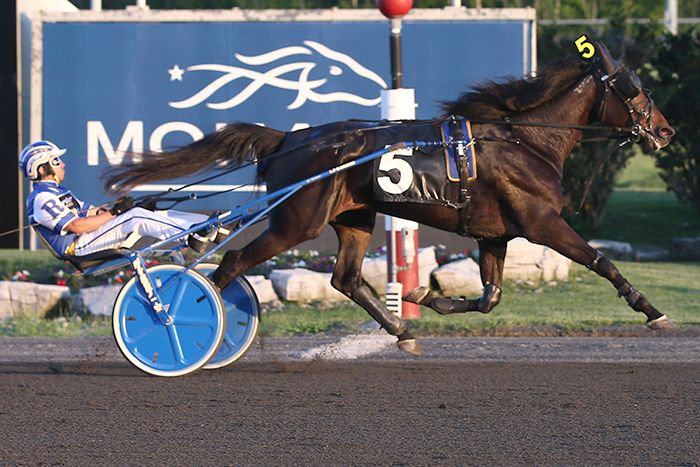 Investment in patience nets Reid a Gold Series win