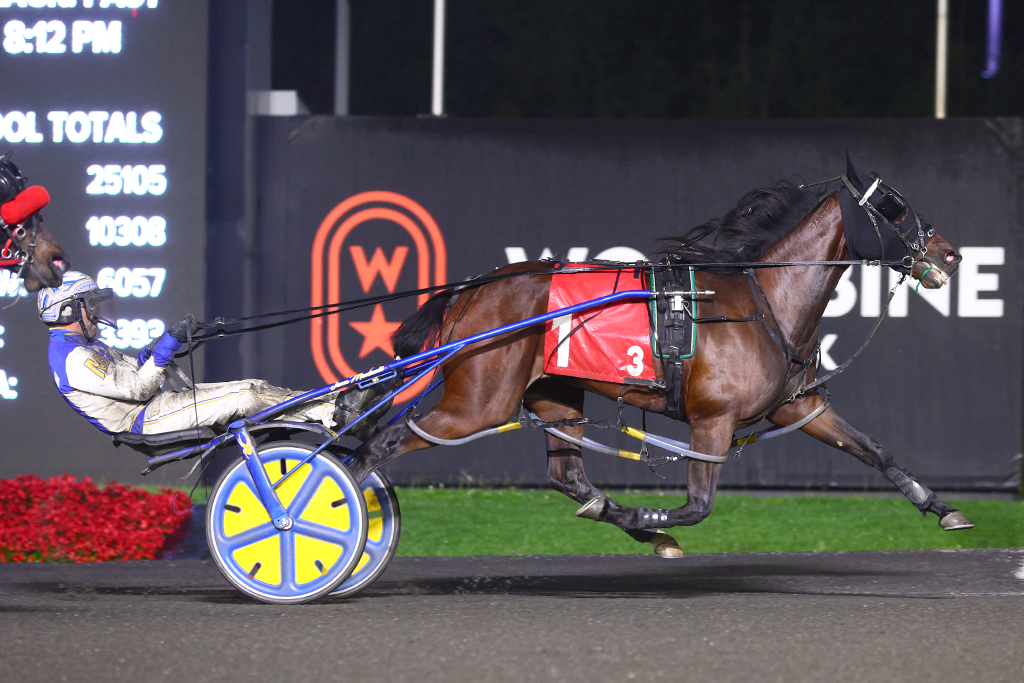 Pick Me Up Hanover picks up top Grassroots prize for rookie pacing fillies