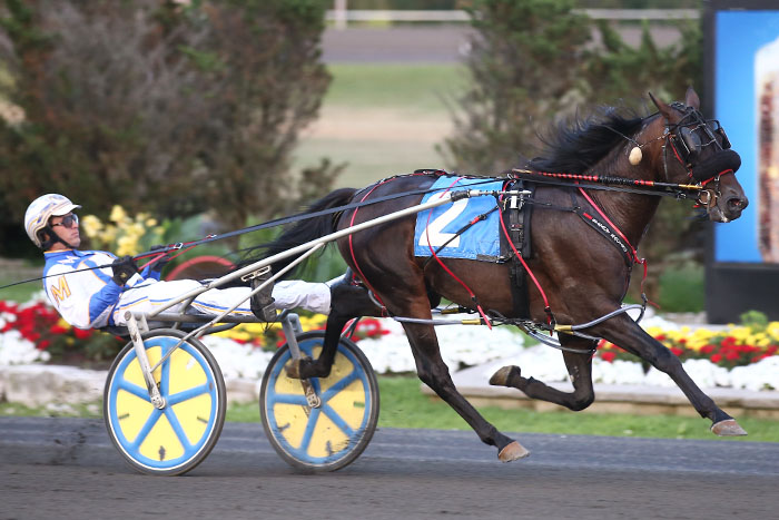 Shawn Steacy hoping to continue the family win streak