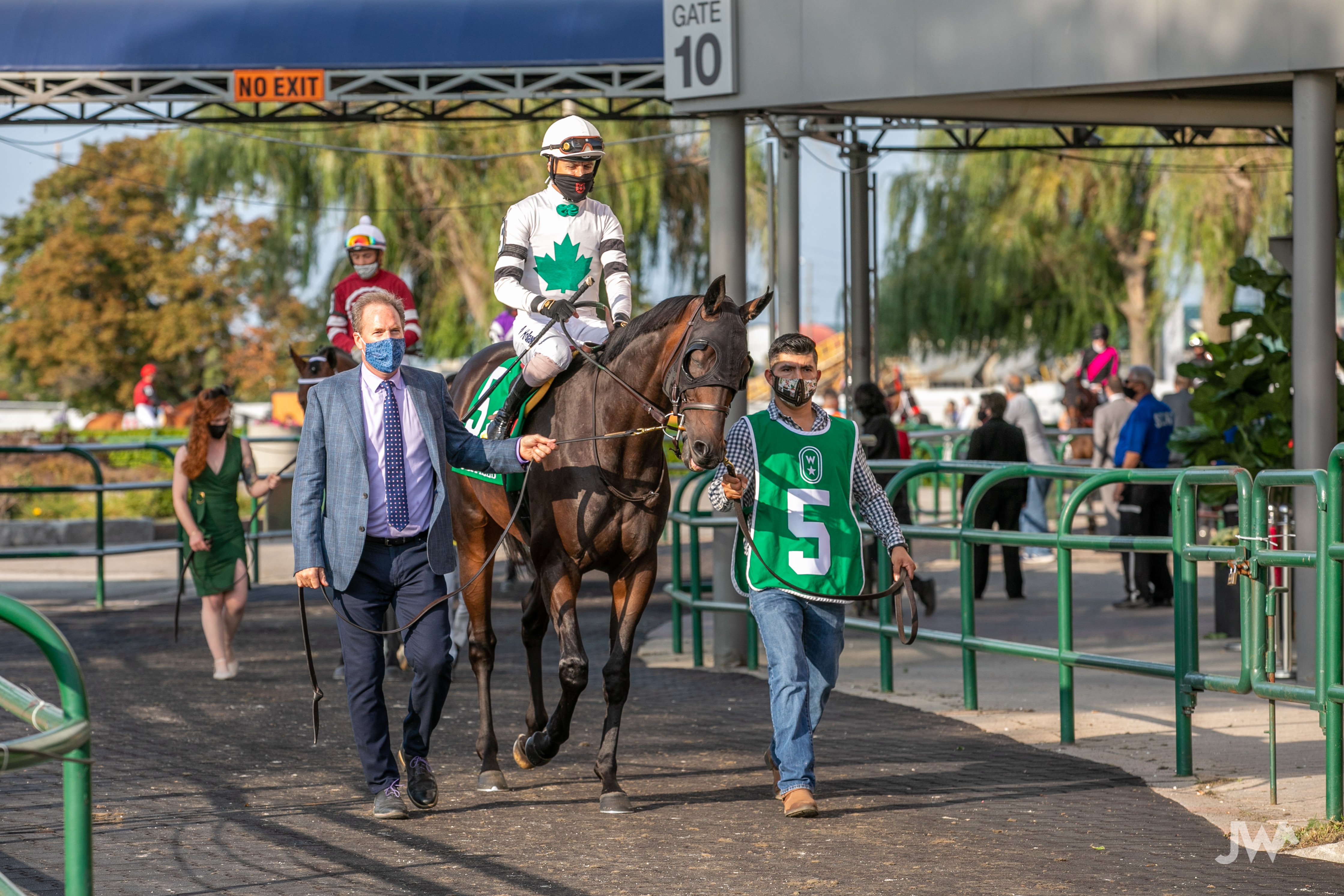 Woodbine Race Entries - lj5et1w