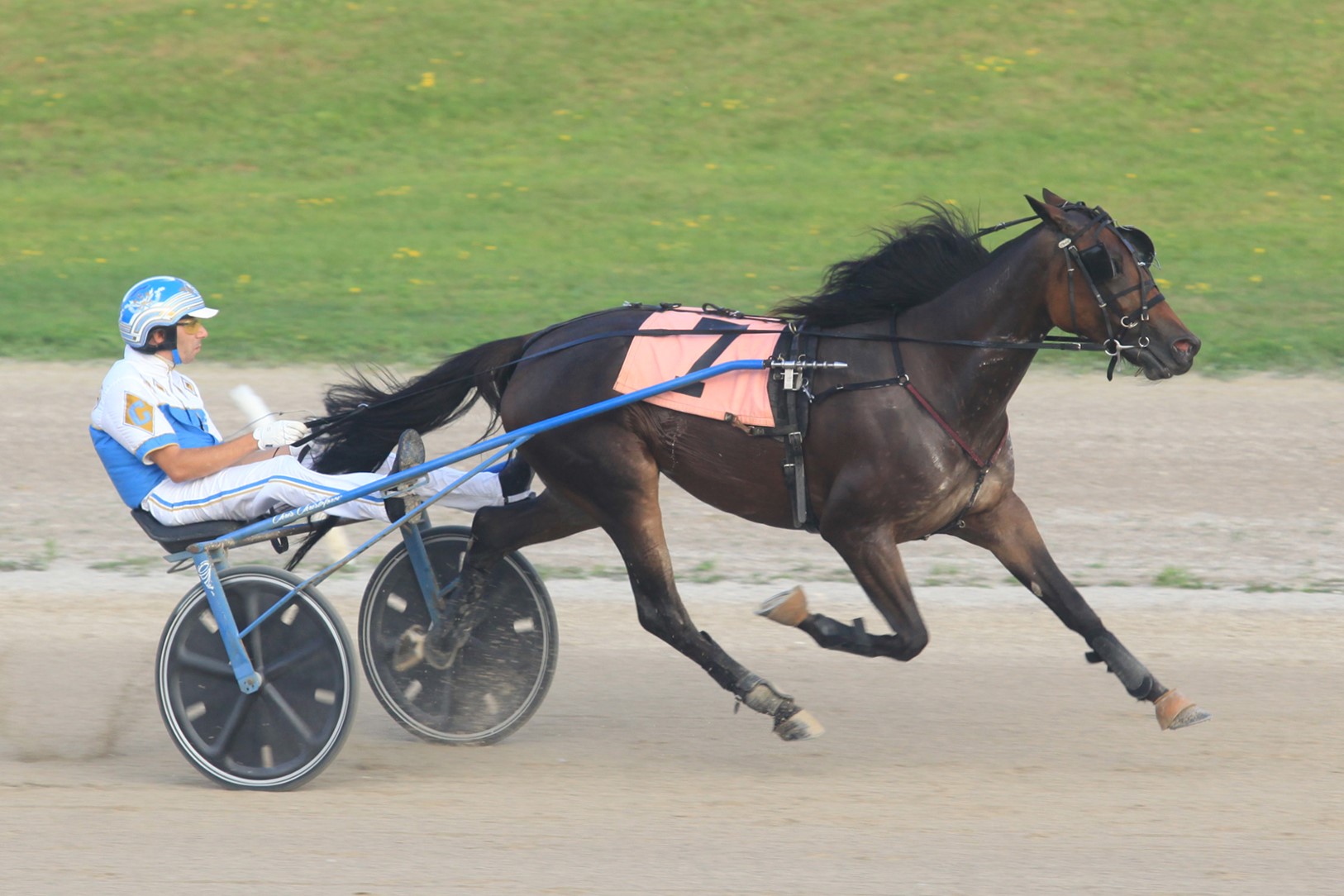 Christoforou sweeps Grassroots at Grand River
