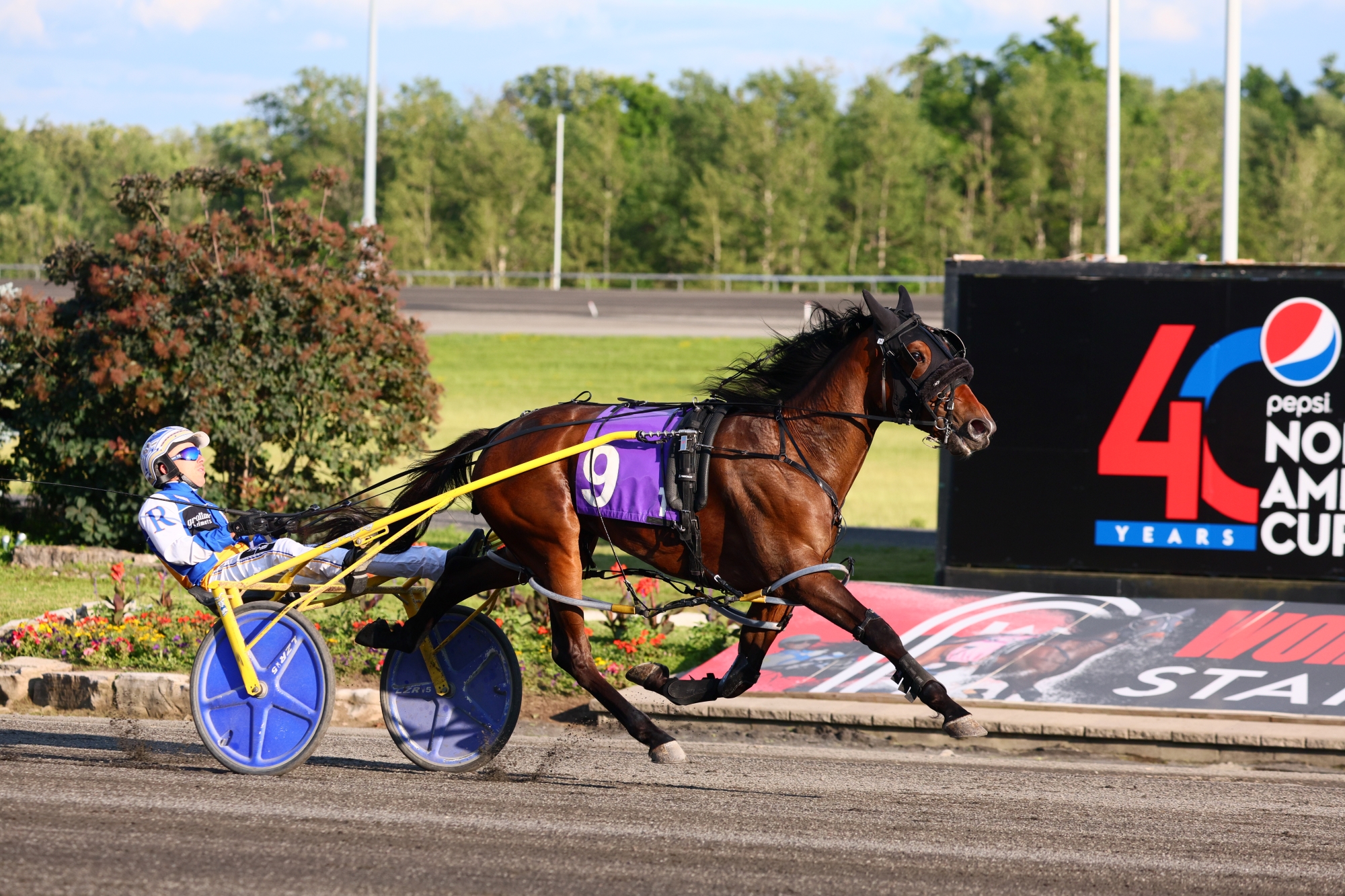 Resilience One to Watch on Big OSS Weekend at Woodbine Mohawk Park