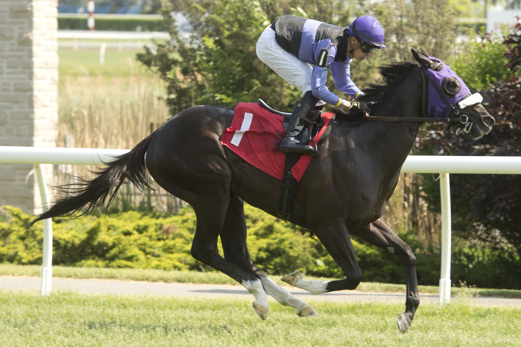 Silent Reserve and jockey Eswan Flores winning on June 2, 2023 at Woodbine (Michael Burns Photo)