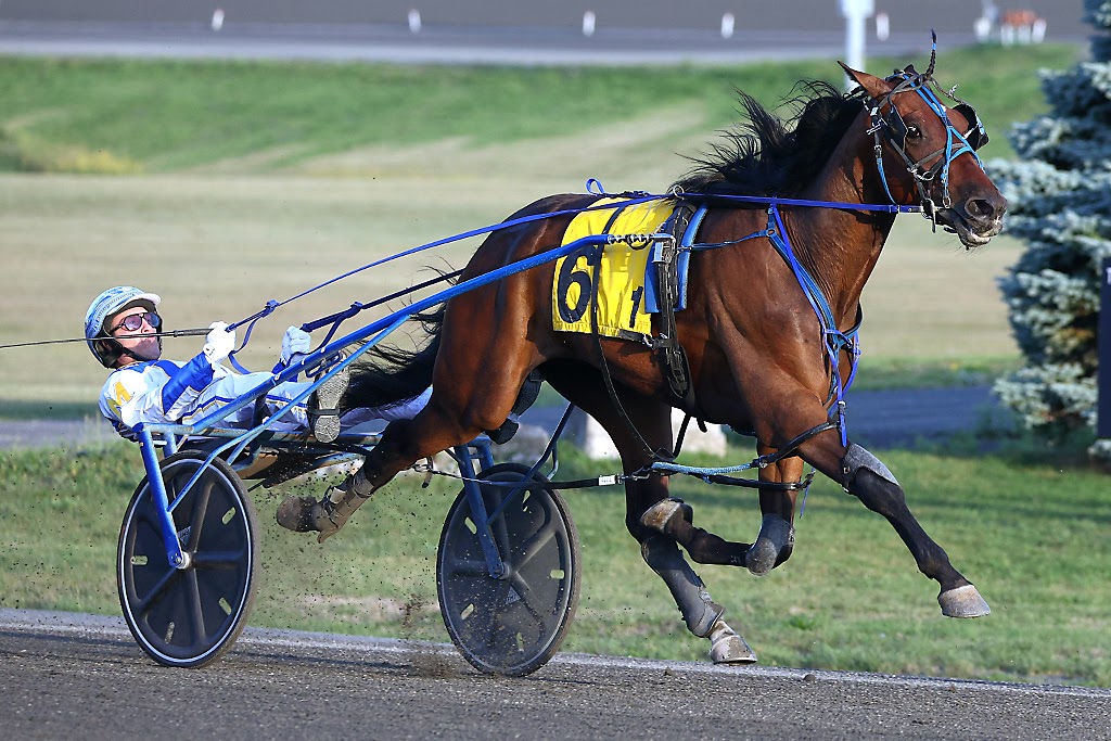 Hasty Bid winning the William Wellwood consolation