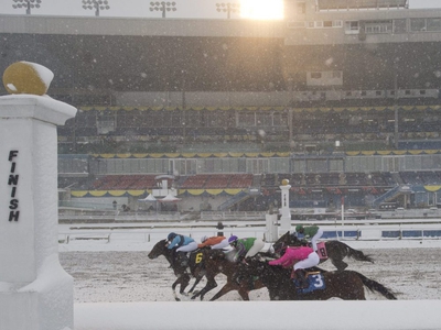 Woodbine in talks with province to keep racing going