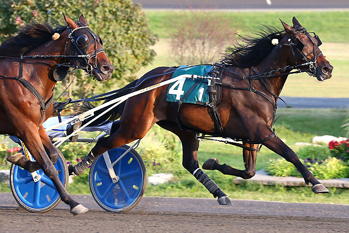 Sweet Soul David widens Grassroots lead